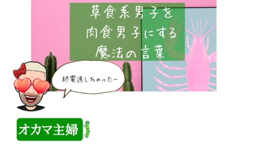 オカマ主婦 欲求不満 手を出さない草食系男子を肉食系男子にする方法